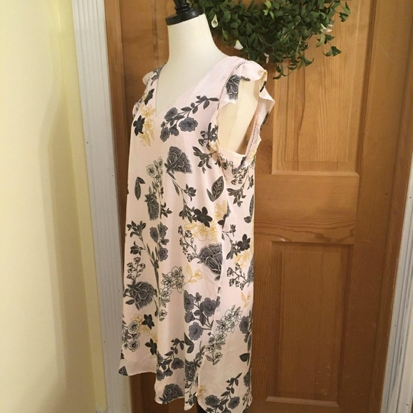 Nwt Blush Floral shift dress - Picture 5 of 8
